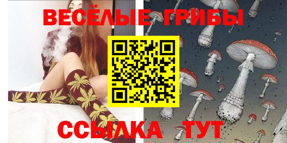Галлюциногенные грибы GOLDEN TEACHER Каменка